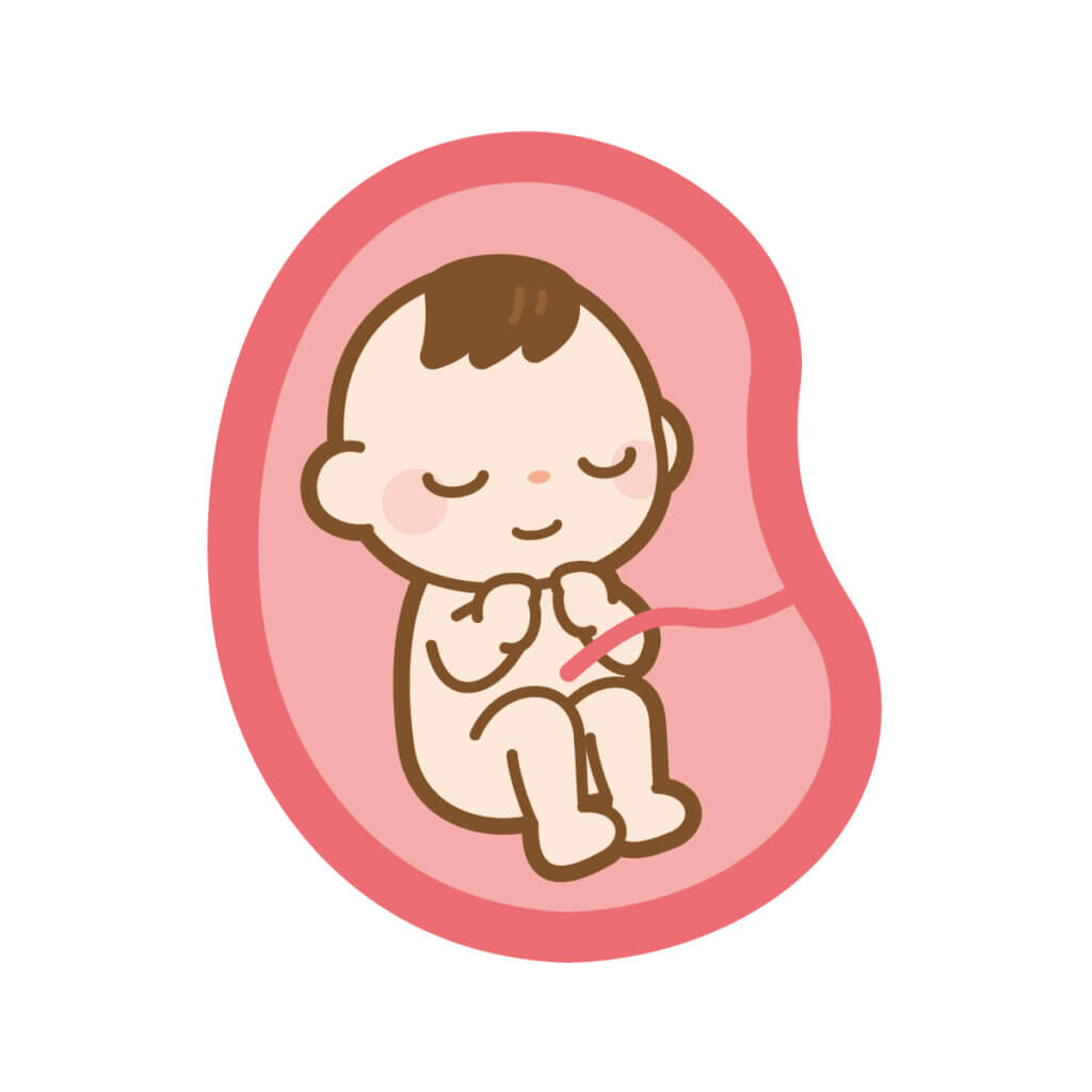 お腹の中の赤ちゃん