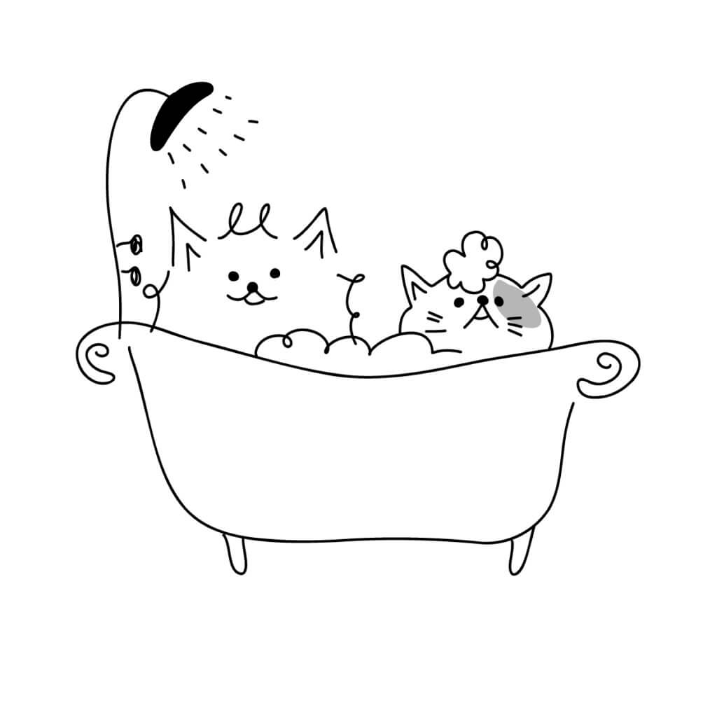 入浴する猫