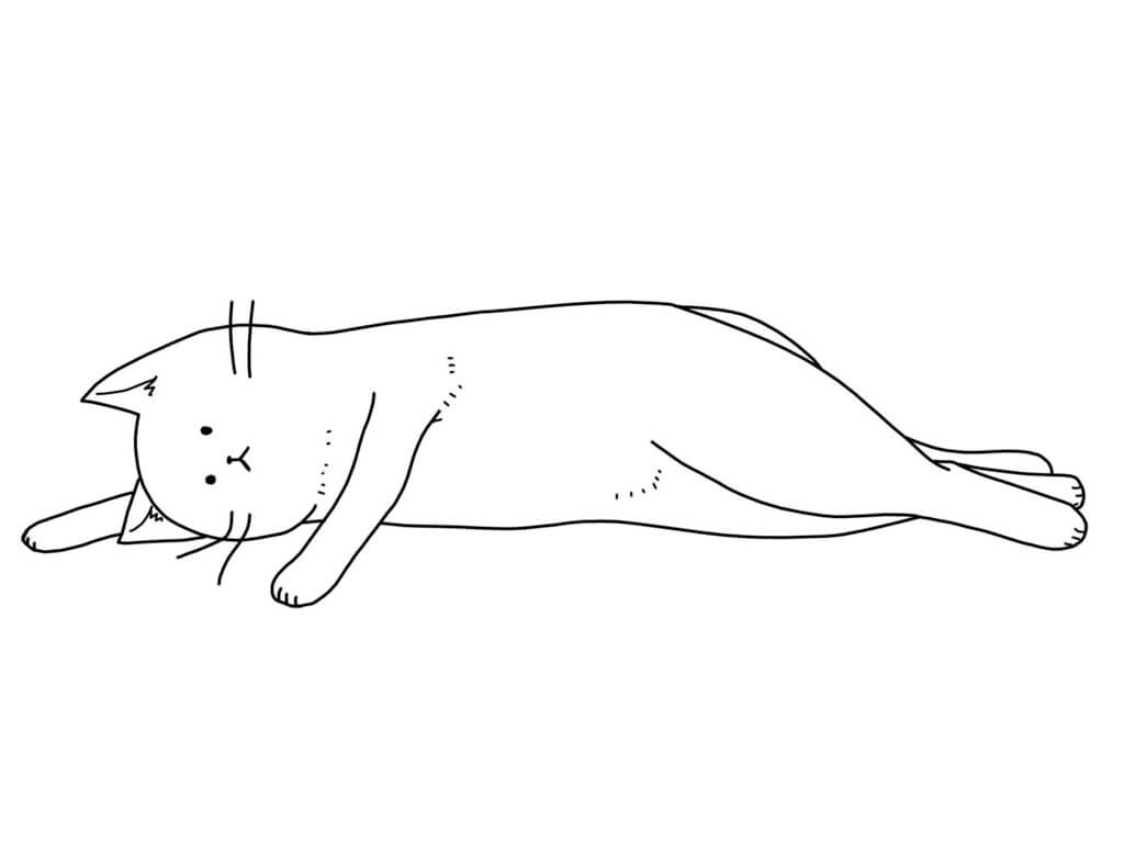 横になったねこ