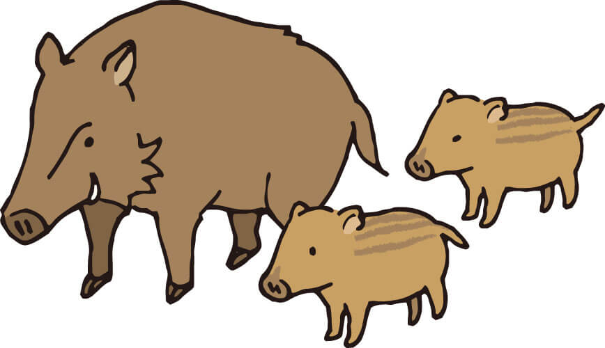 イノシシの親子