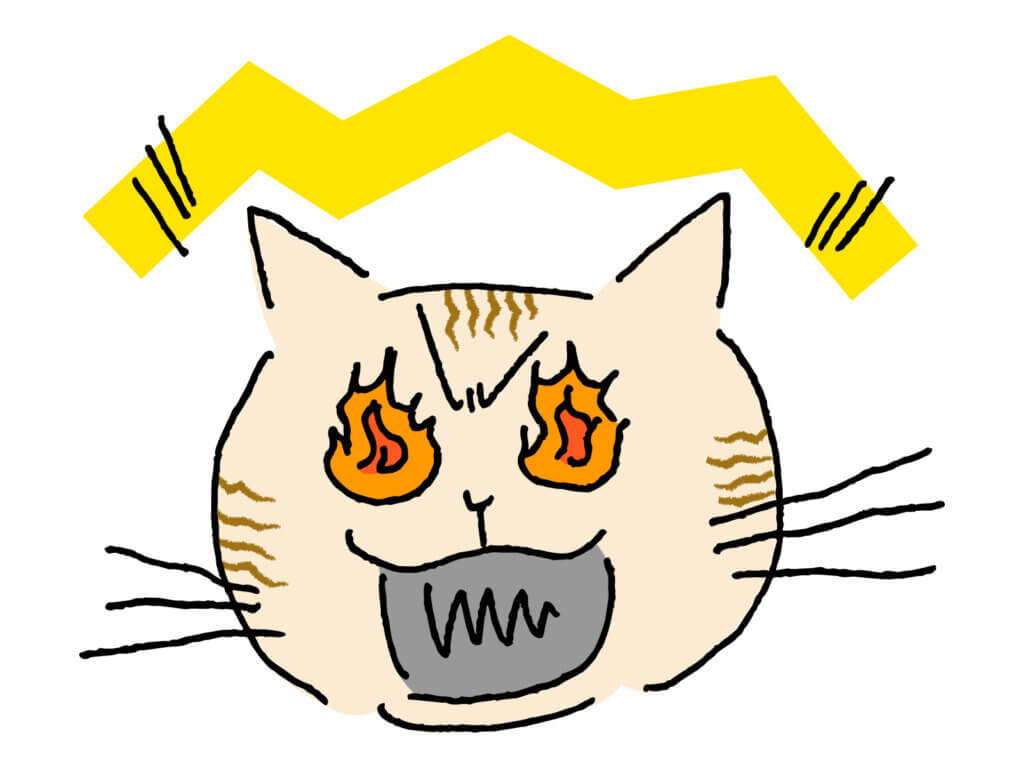 威嚇する猫